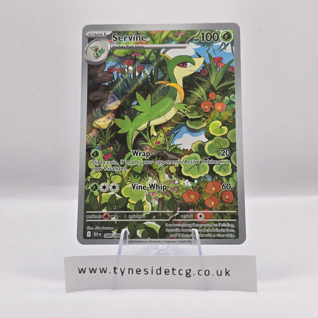 Servine 088/086 – Black Bolt (English Single)