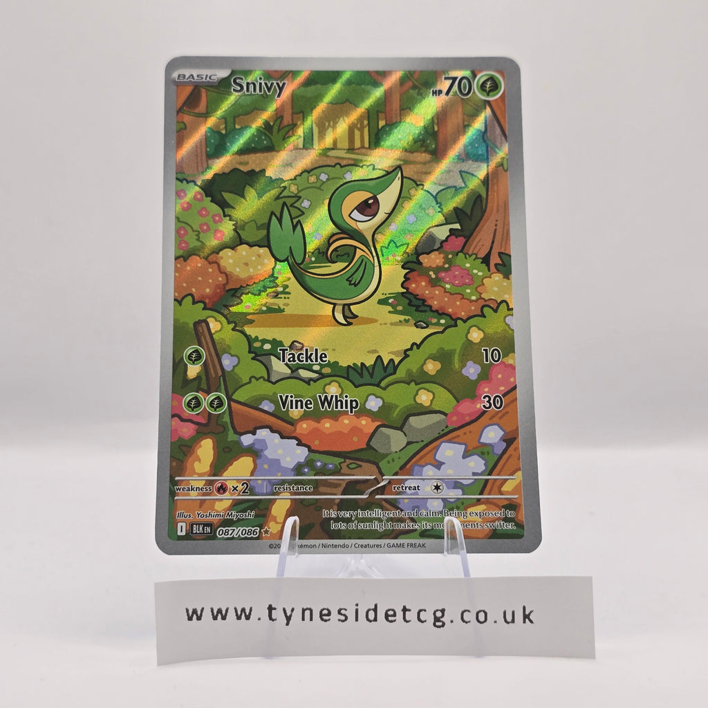 Snivy 087/086 – Black Bolt (English Single)