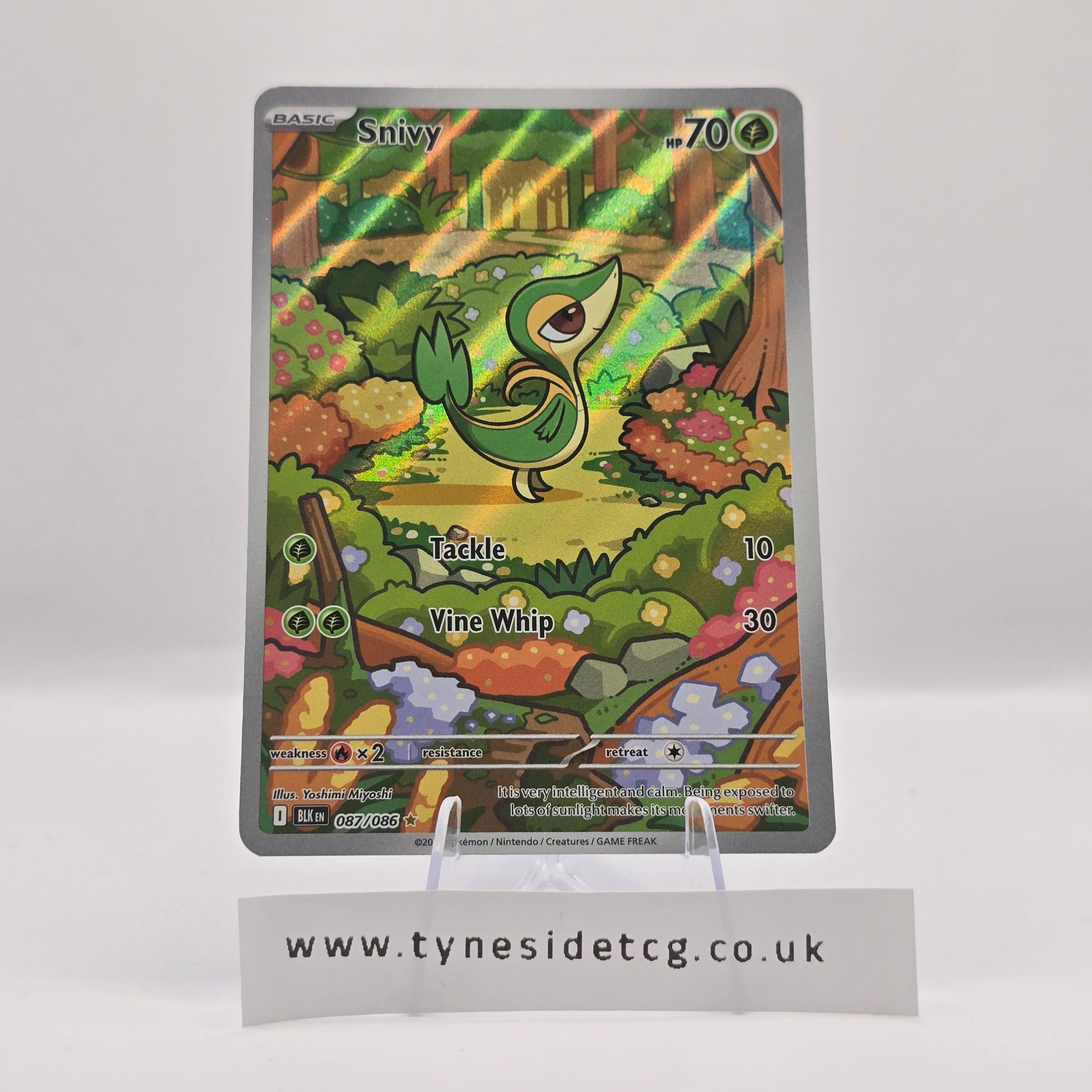 Snivy 087/086 – Black Bolt (English Single)