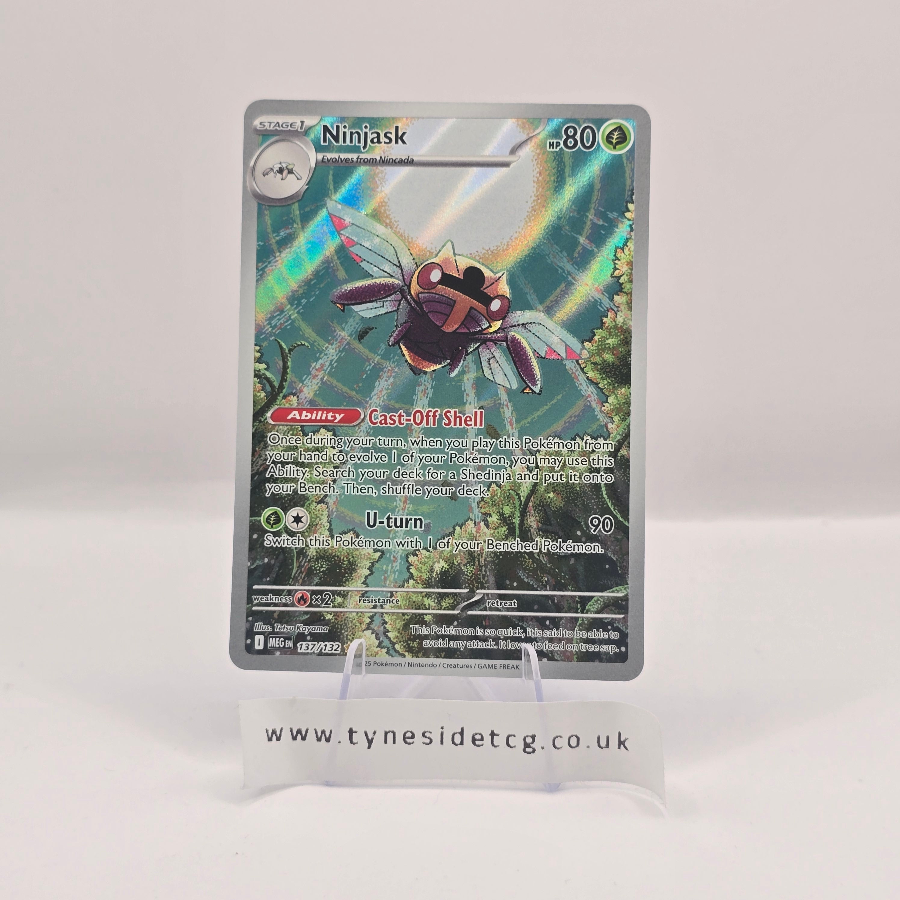 Ninjask 137/132 - Mega Evolution (English Single)