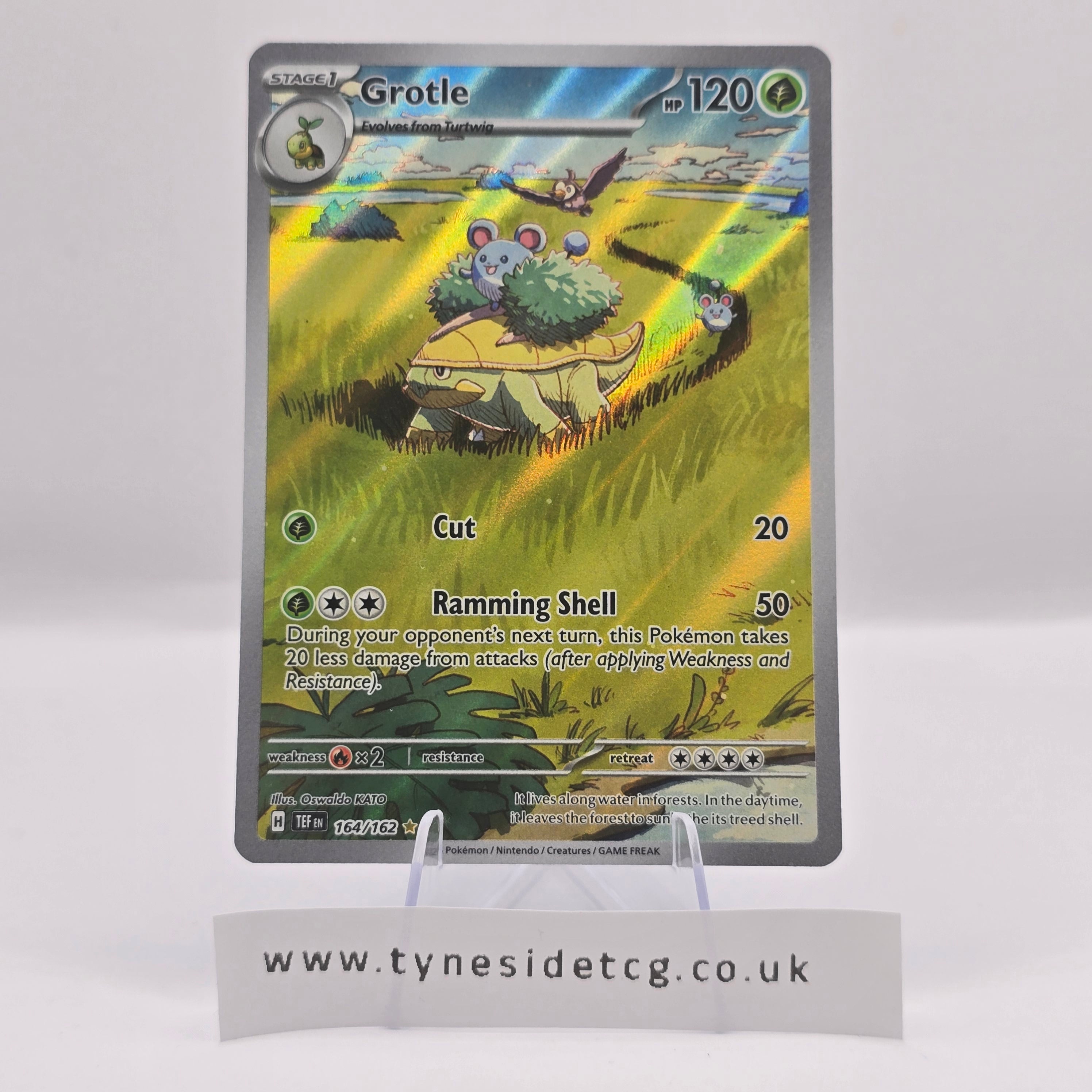 Grotle 164/162 – Temporal Forces (English Pokémon TCG Single ...