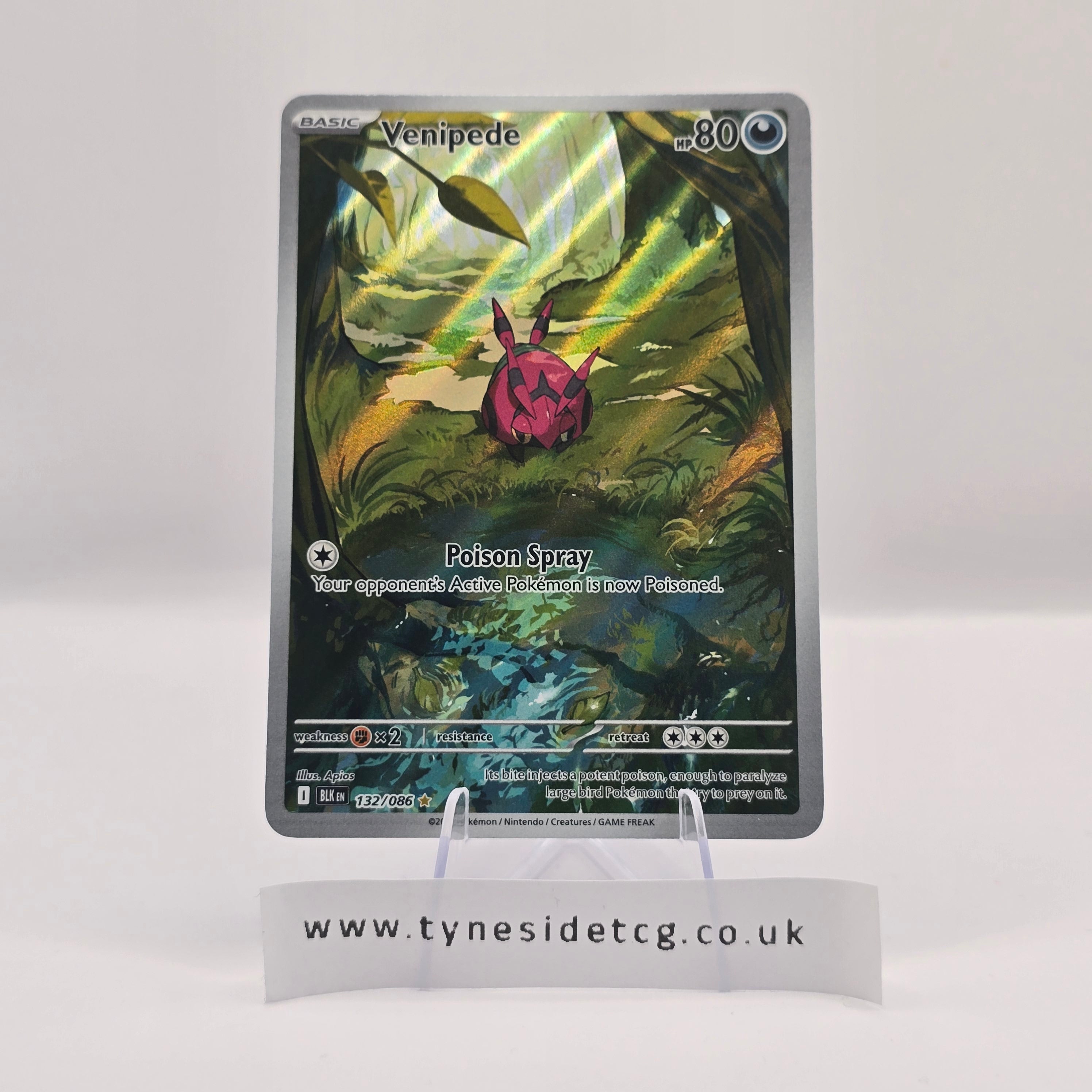 Venipede 132/086 – Black Bolt (English Single)