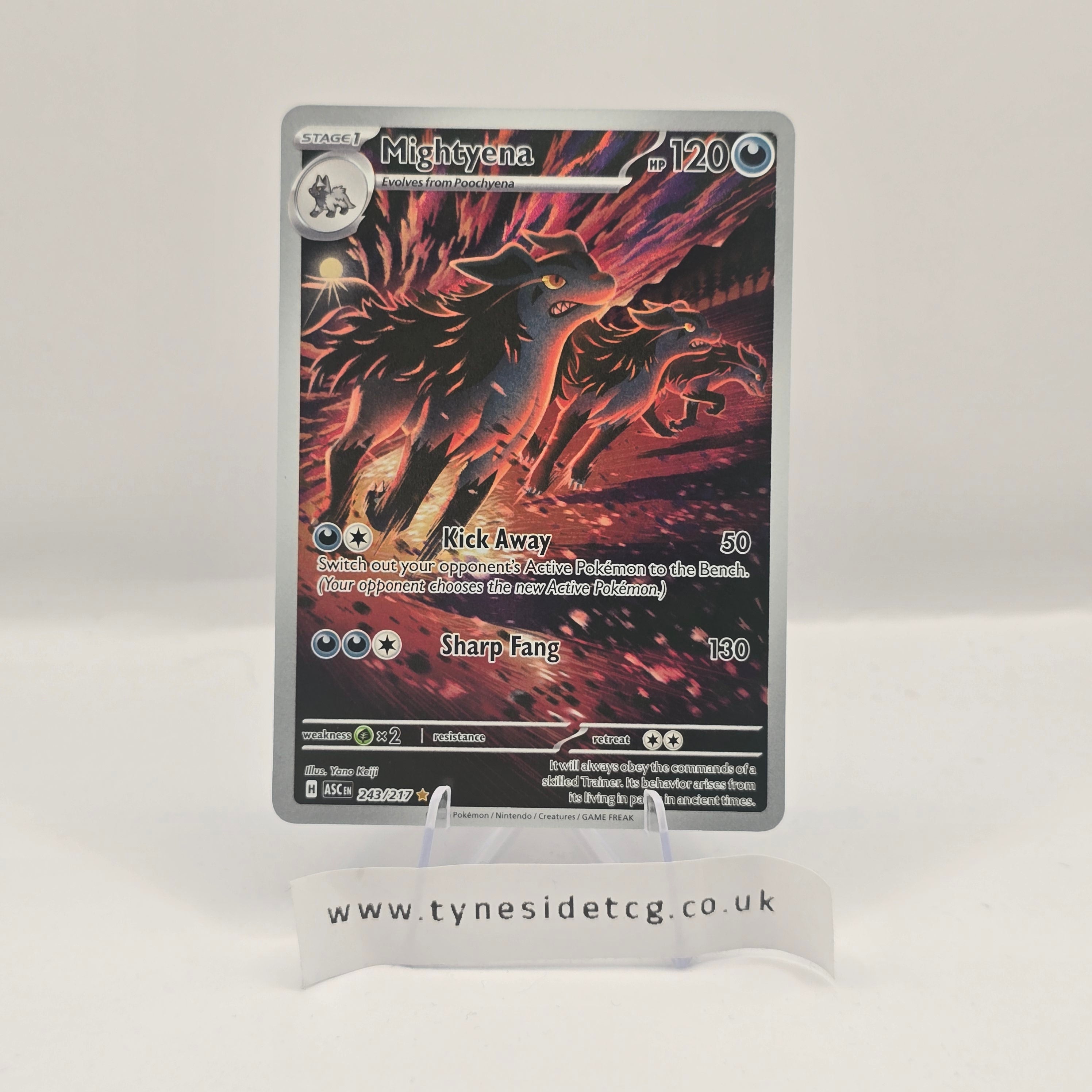 Mightyena 243/217 – Ascended Heroes (English Single)