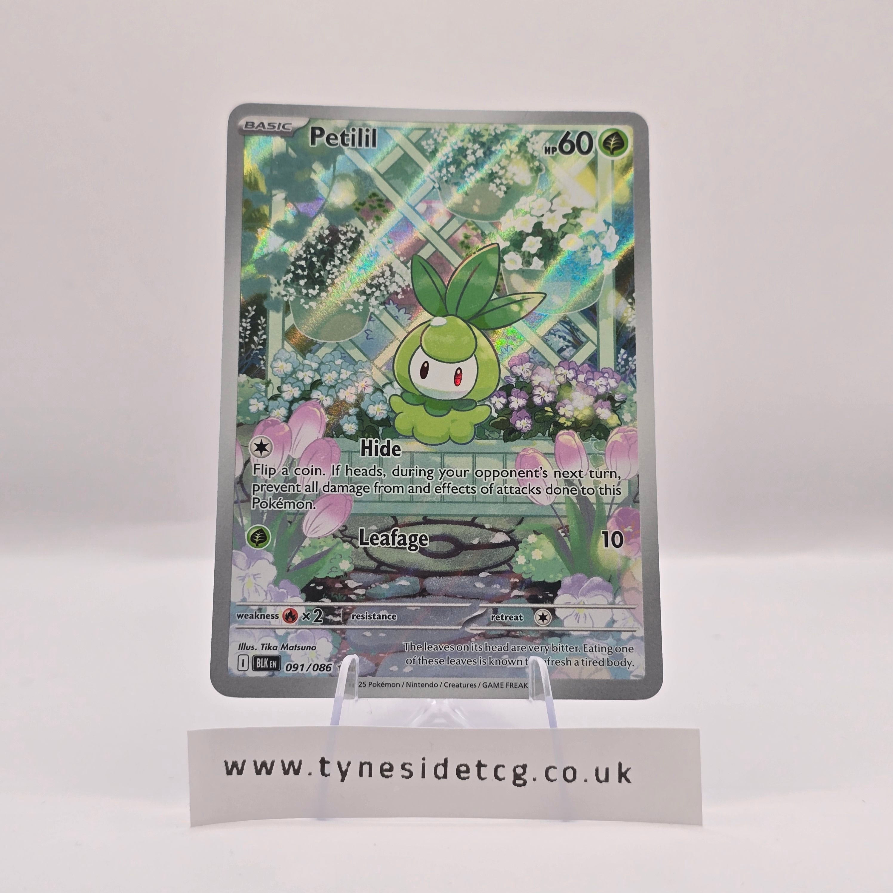 Petilil 091/086 – Black Bolt (English Single)