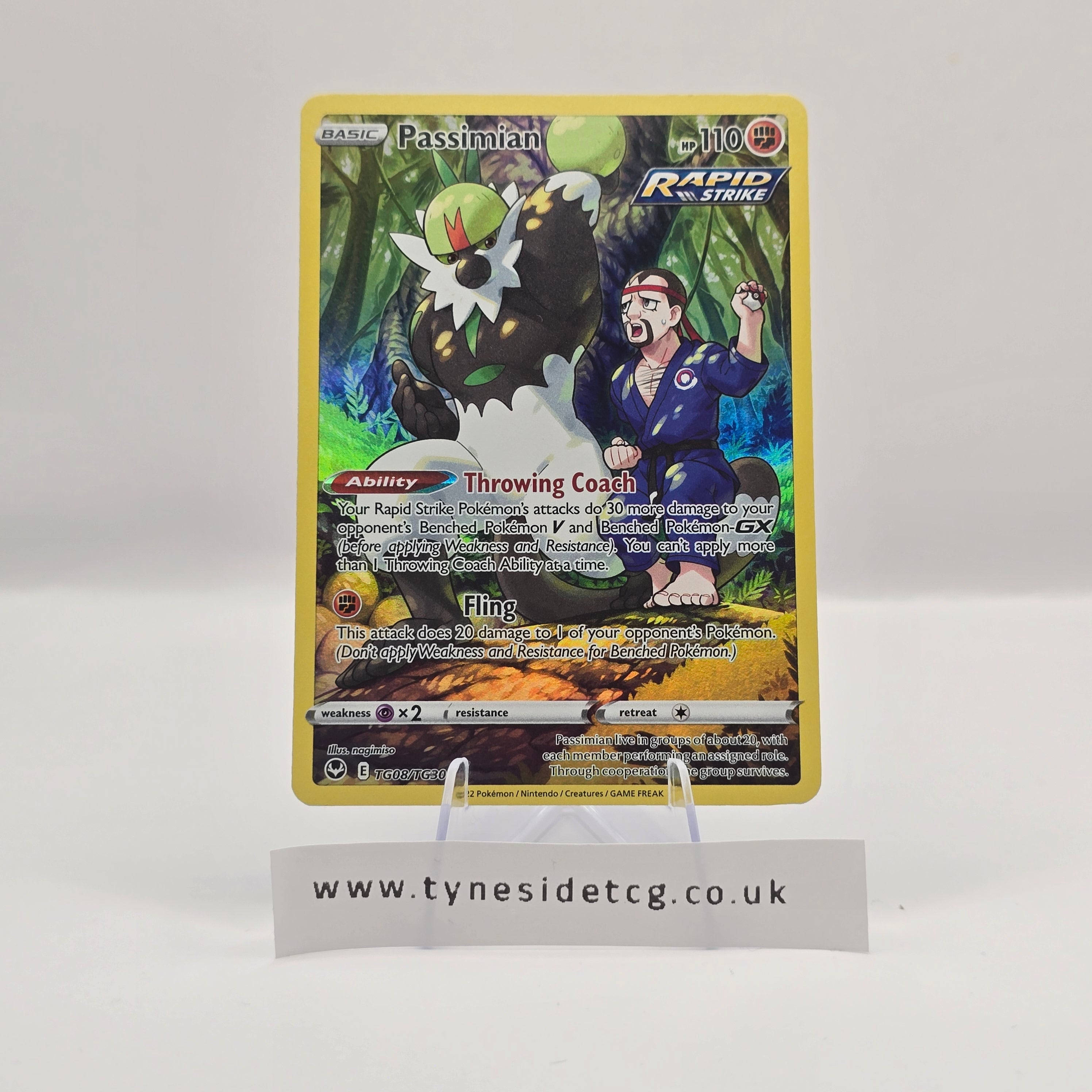 Passimian TG08/TG30 – Silver Tempest (English Single)