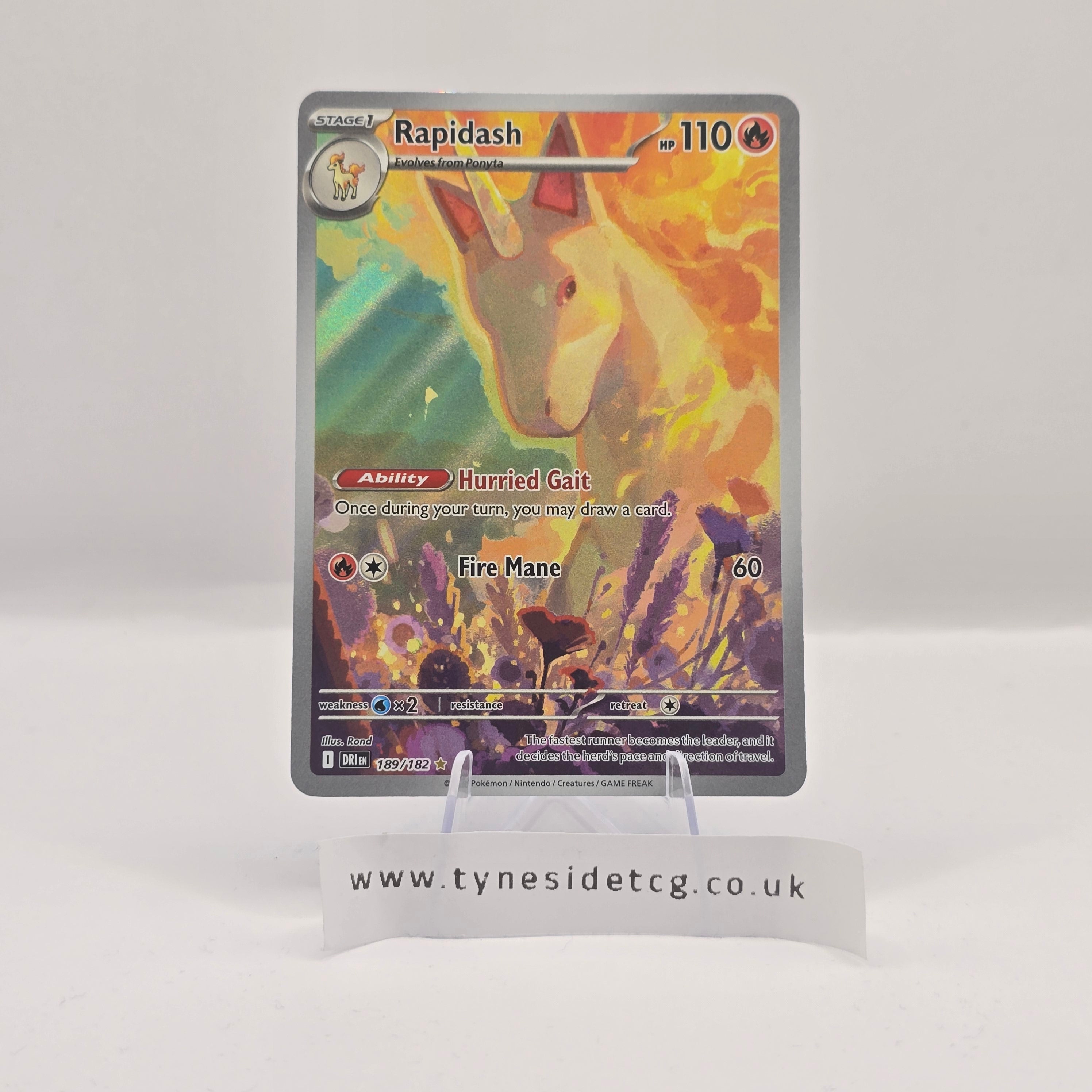 Rapidash 189/182 – Destined Rivals (English Single)