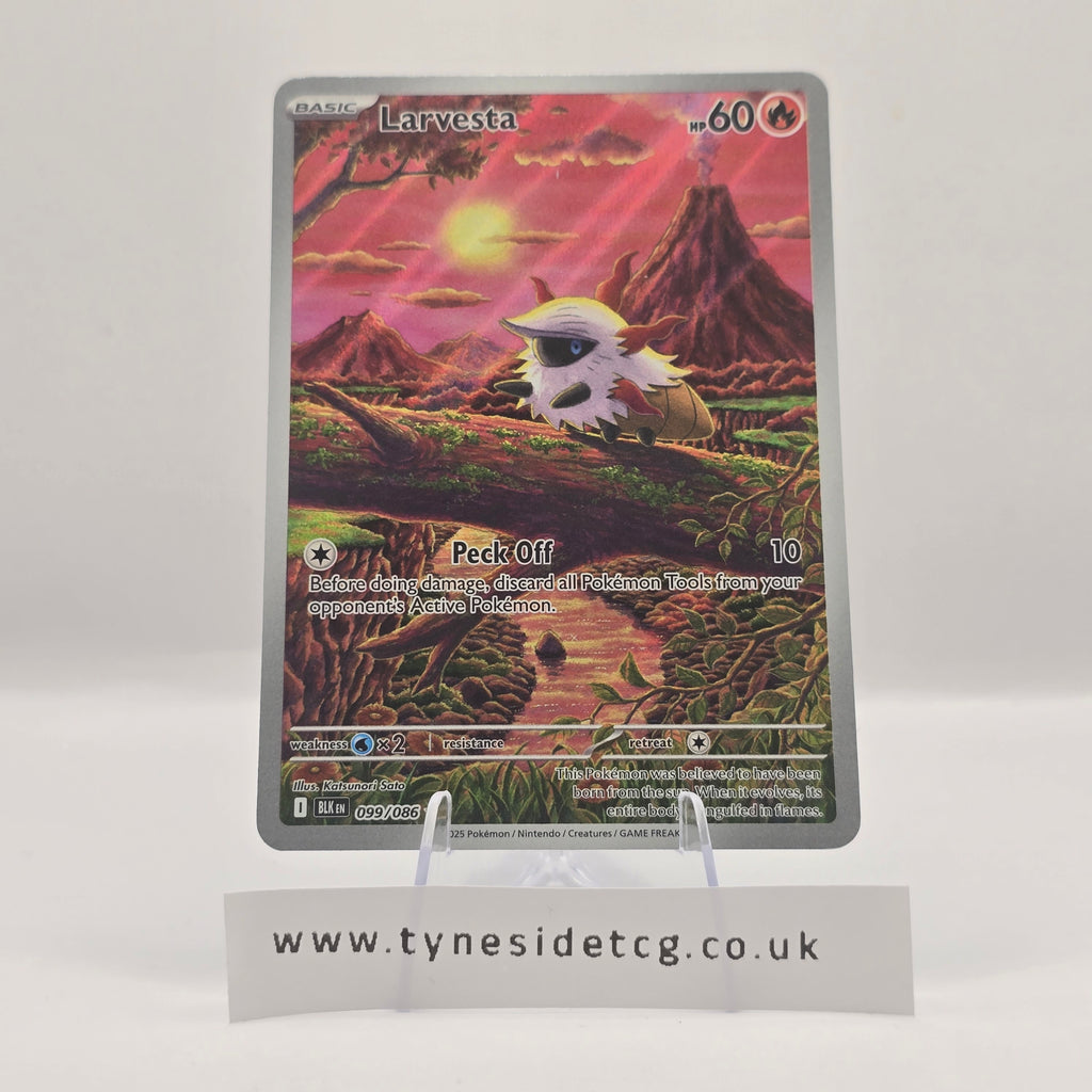 Larvesta 099/086 – Black Bolt (English Single)