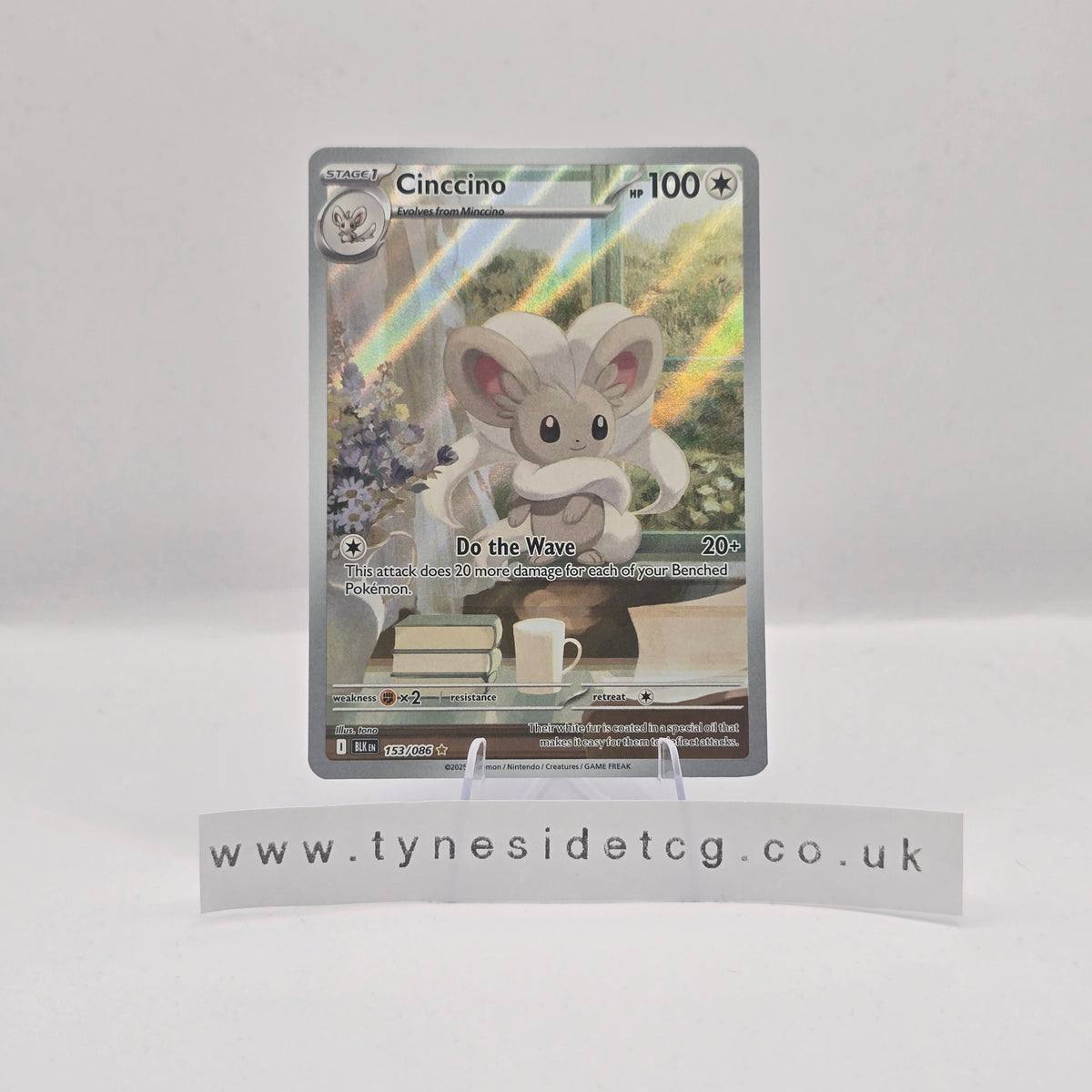 Cinccino 153/086 - Black Bolt (English Single)