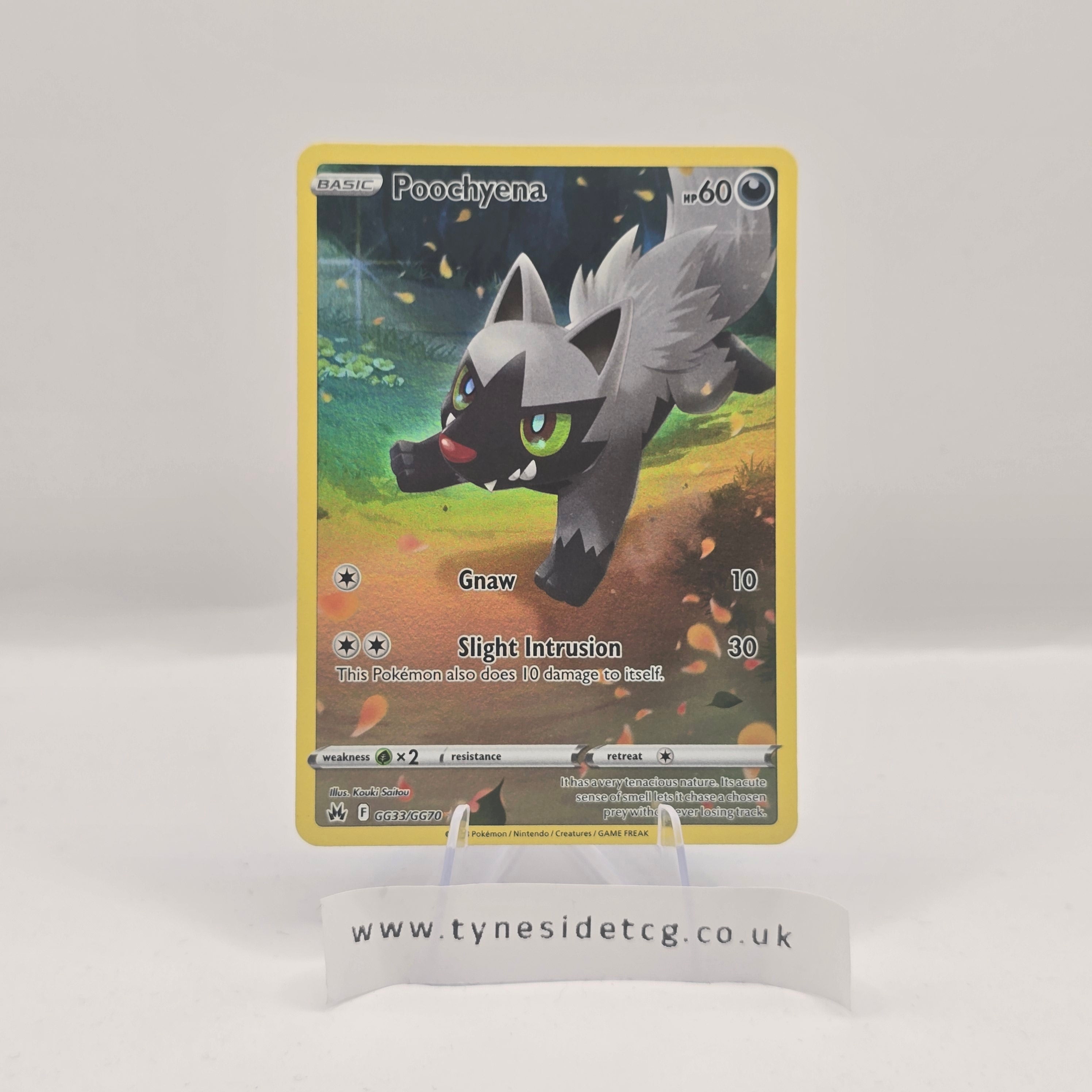 Poochyena GG33/GG70 – Crown Zenith (English Single)