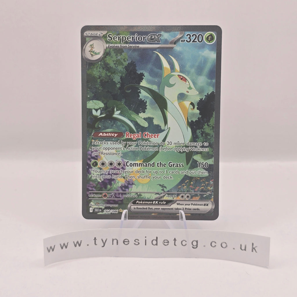 Serperior ex 164/086 - Black Bolt (English Single)