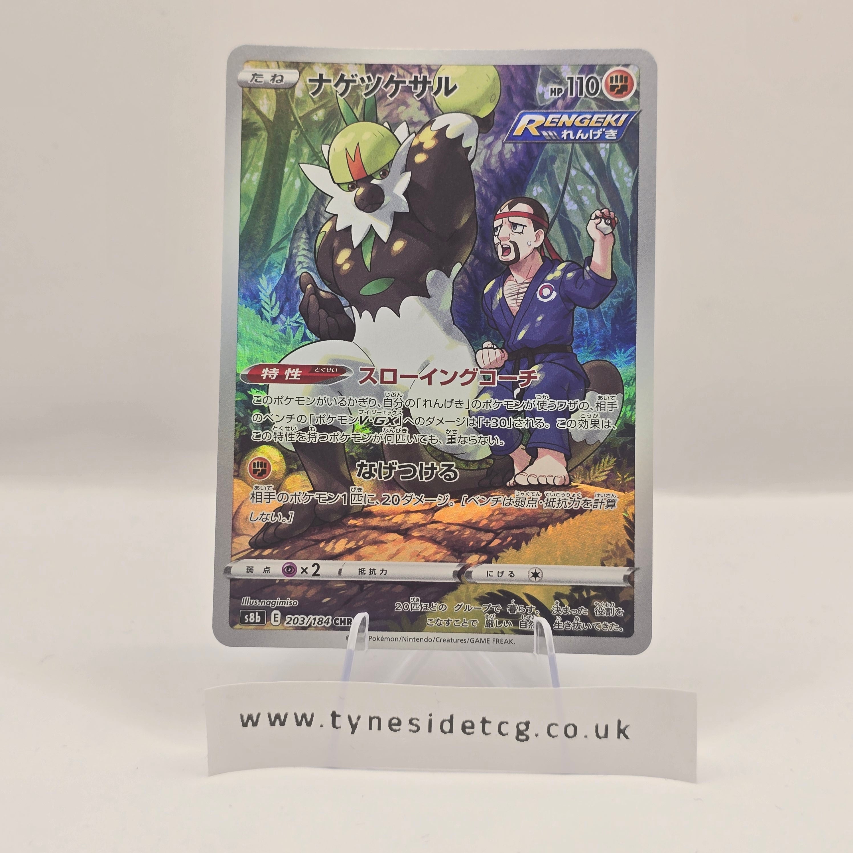 Passimian 203/184 (S8B) – VMAX Climax (Japanese Single)