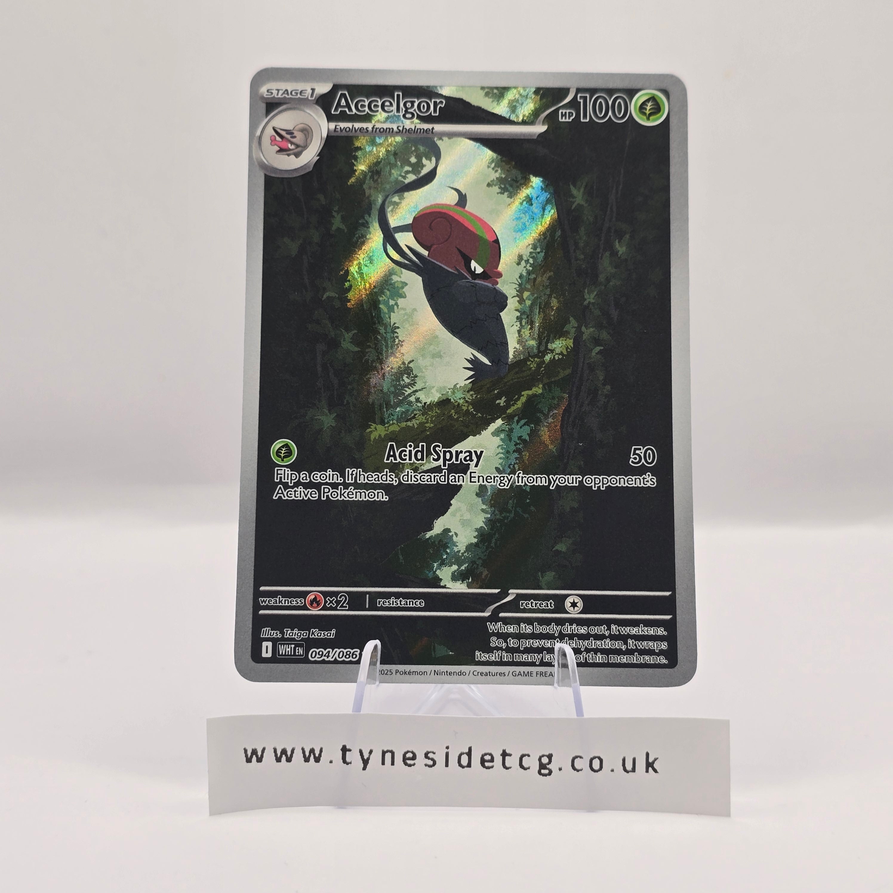 Accelgor 094/086 – White Flare (English Single)