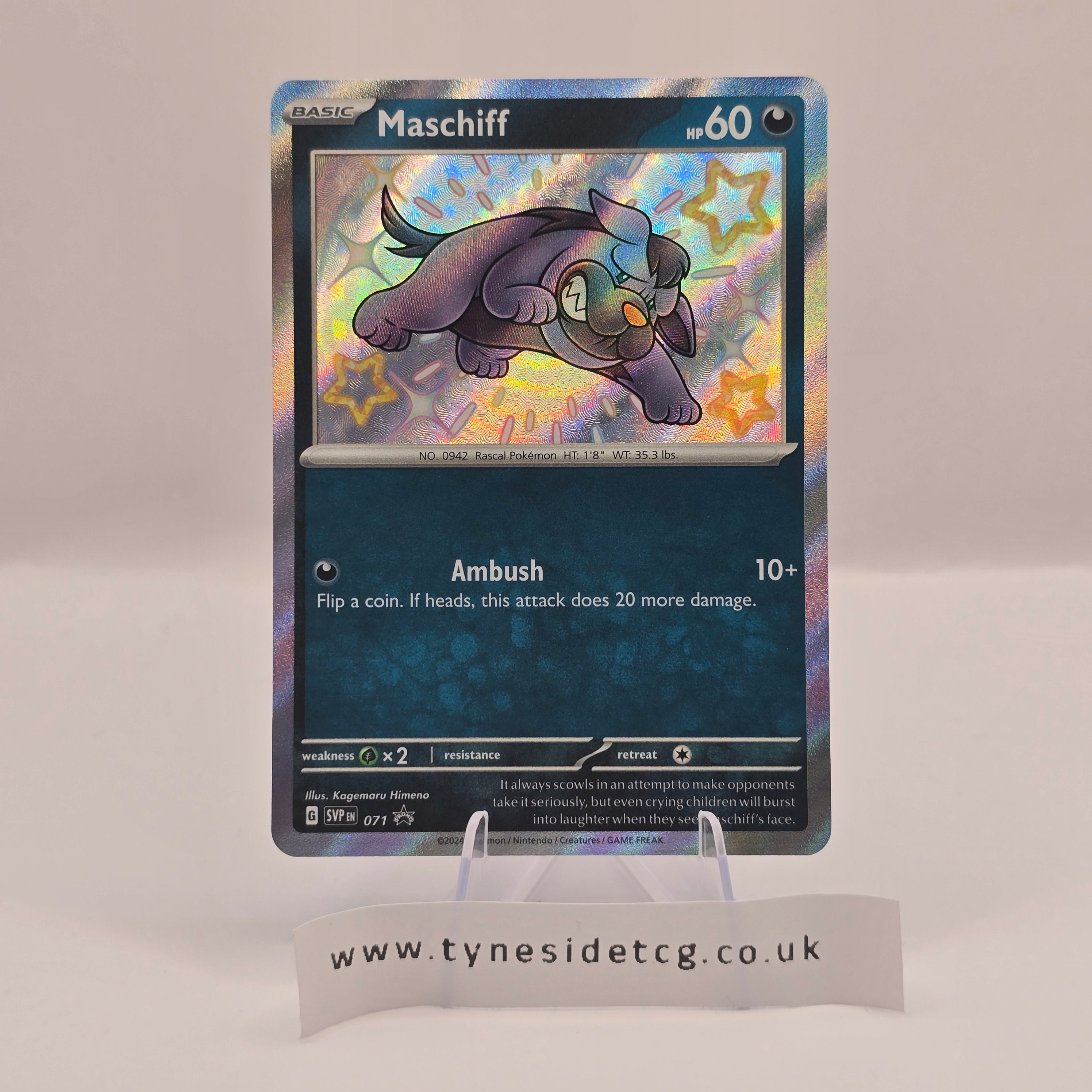 Maschiff – SVP 071 (English Promo)