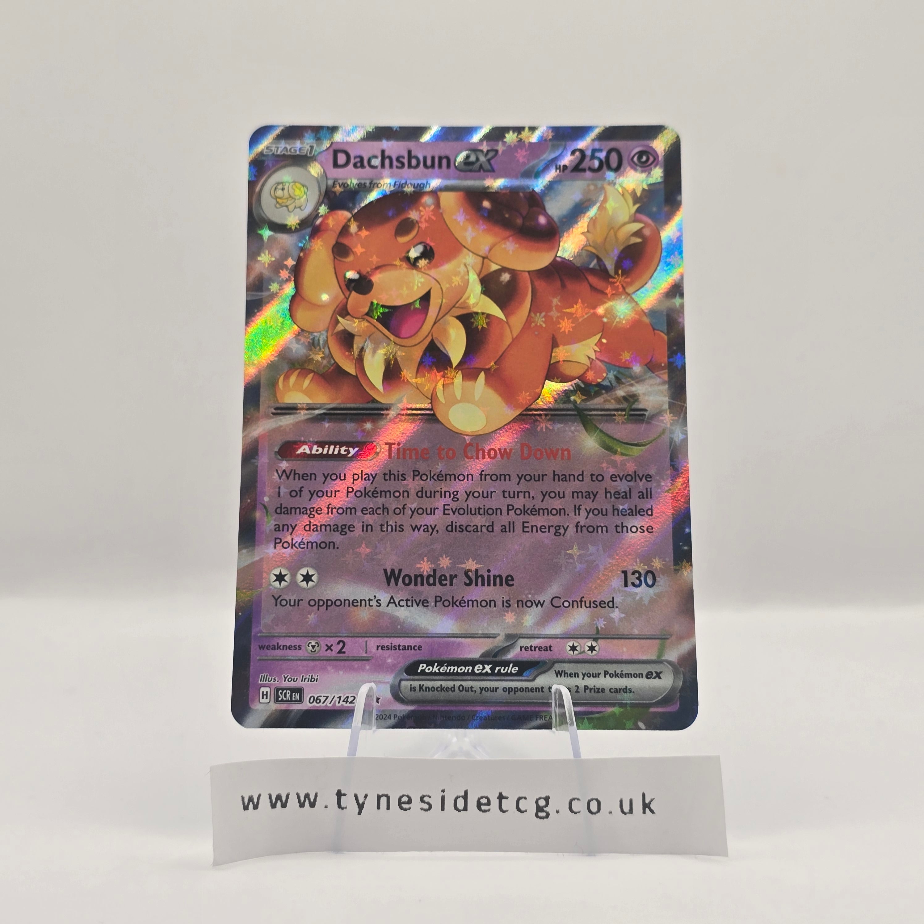 Dachsbun EX 067/142 – Stellar Crown (English Single)