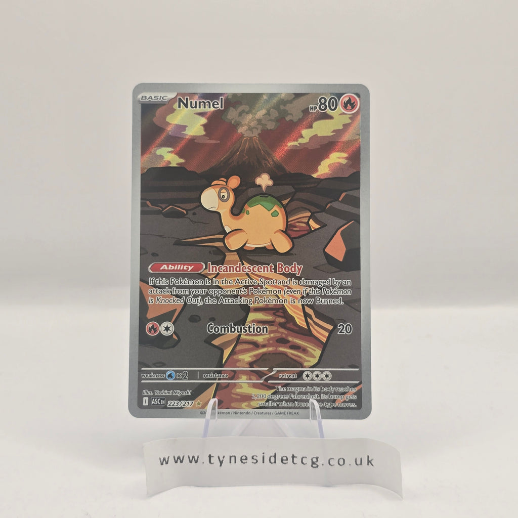 Numel 223/217 – Ascended Heroes (English Single)