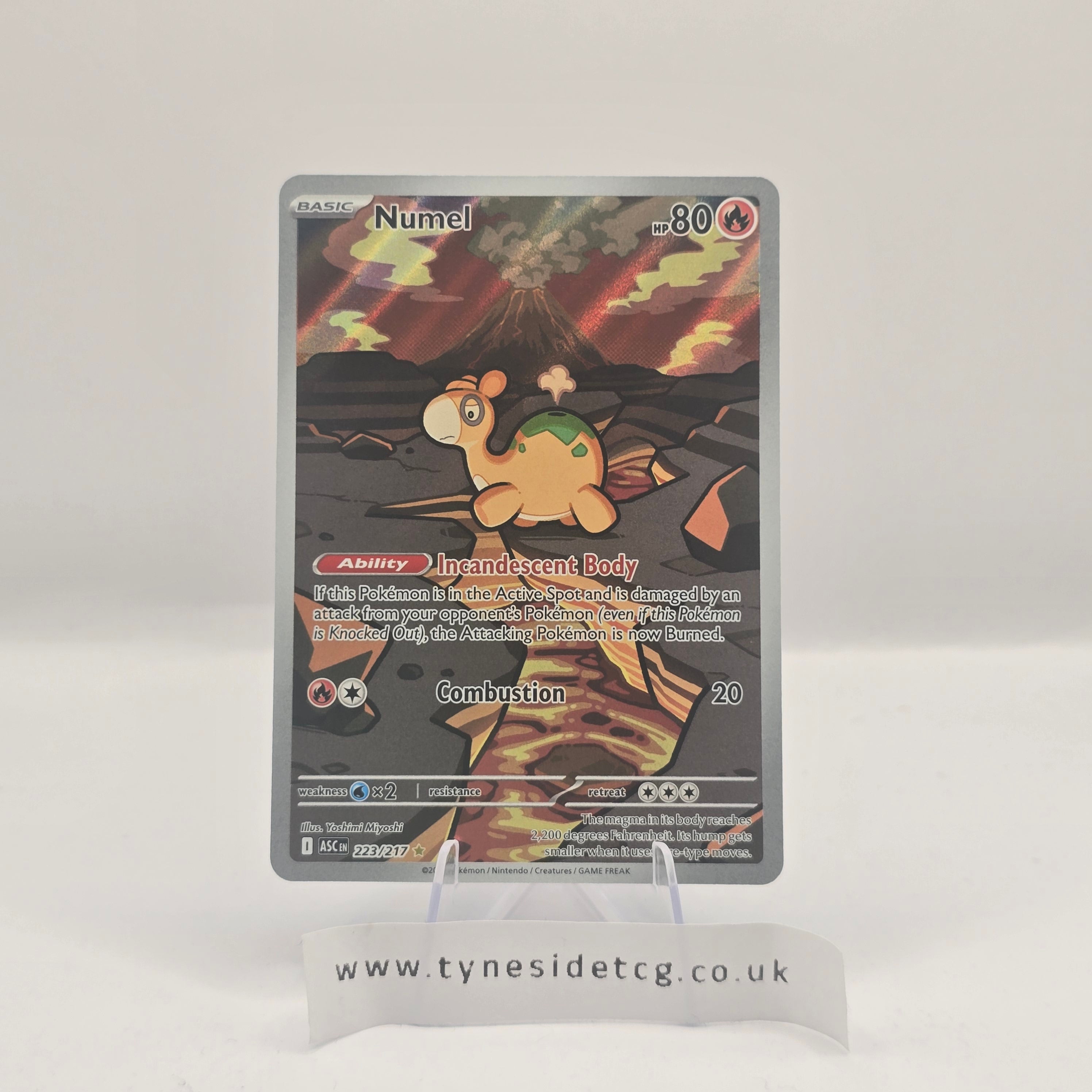 Numel 223/217 – Ascended Heroes (English Single)
