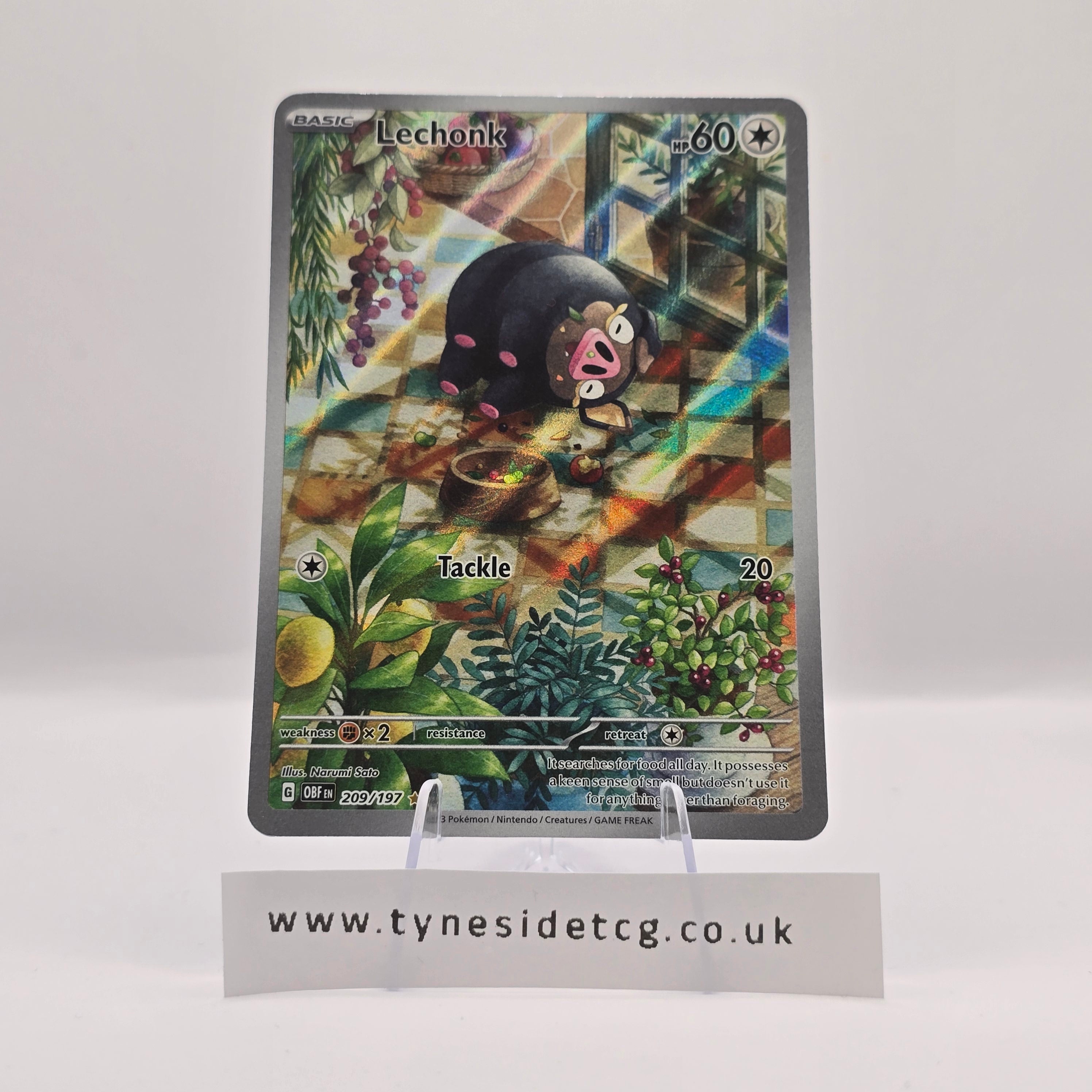 Lechonk 209/197 – Obsidian Flames (English Single)